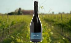 Bollicina raffinata,  cremosa e fruttata,  vera freschezza