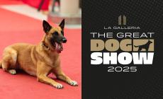 The Great Dog Show,  lo spettacolo comincia