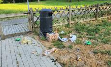 Parco del Naviglio, l'area dedicata ai cani "ecco come si presenta"