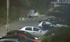 Si traveste da fantasma per abbandonare i rifiuti  - Video