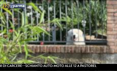 Due grossi cani in fuga a San Michele Tiorre: scoppia un parapiglia, paura e un ferito - Video