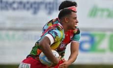 Alle Zebre Albert Einstein Batista