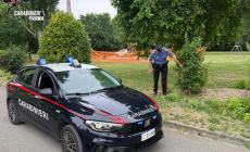 Spaccia droga nel parco Falcone e Borsellino, arrestato un 43enne: per lui divieto di abitare in provincia di Parma