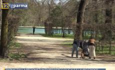 Dalla Regione fondi per Parco Ducale e centro sportivo Lauro Grossi -Video