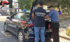 Irregolarità in due cantieri edili a Traversetolo: una persona denunciata, un'attività sospesa e sanzioni per 18.000 euro 