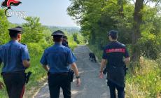 Allarme bocconi avvelenati a Borgotaro, il "carabiniere" Freddy mette tutti tranquilli