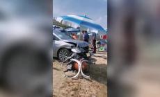 Perde controllo auto e finisce in spiaggia, 3 feriti in Abruzzo - Video