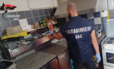 I Nas  scoprono un panificio-pasticceria a Parma con scarafaggi, sporco, e topi nella farina: multa al titolare. Irregolarit&agrave; anche in una fattoria didattica della Bassa