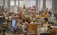 Antiquariato e caccia ai pezzi da collezione: alle Fiere su il sipario per Parma Bagarre