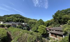  Al villaggio del Tè Longjing, dove il te è leggenda - Foto