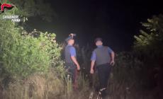 Rapine, risse, spaccio e violenza: 5 uomini in carcere. Da mesi seminavano il terrore a  Fidenza e Salso - Video