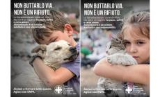 &ldquo;Non buttarlo via. Non &egrave; un rifiuto&rdquo;. Parte la campagna antiabbandono 2025 dell&rsquo;Enpa