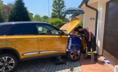 Sorbolo, gatto incastrato nel cofano di un'auto: vigili del fuoco e veterinari in azione per salvarlo