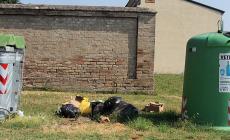 Carzeto, una discarica davanti al cimitero