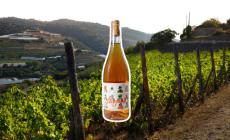 The Wine Brewers Lestofante: Bicchiere intrigante, dolci note al naso, mai stucchevole