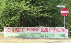 Via Picasso «protesta»: «Caro Comune, non asfaltare la nostra foresta del cibo»