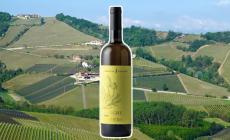 Josetta Saffirio Langhe Rossese Bianco Doc '22: grande personalità per un vino fresco, longevo e sincero
