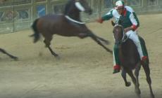 Palio di Siena, stravince la contrada dell'Oca
