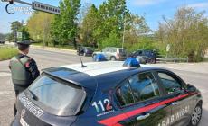 Con un autocarro preso a noleggio ruba un gruppo di continuità  da un’azienda. Denunciato per furto 38enne italiano