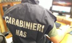 Tre denunce per ricette mediche false per ottenere  farmaci stupefacenti