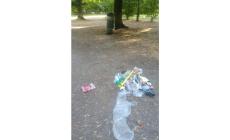 Parco Ducale: il cestino &egrave; l&igrave;, ma i rifiuti gettati a due metri 