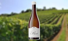 La Collina dei Ciliegi Prea Bianco Verona IGT 2021: il sole nel bicchiere, frutta gialla al naso, vera classe al sorso

