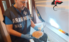Un appartamento diventa ristorante ma l'attività è abusiva e i Nas scoprono carenze igieniche: multe per 5.500 euro e sequestri - Foto