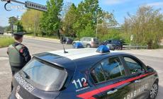 Finge di non capire l&rsquo;italiano e chiede  alla negoziante di  tradurre  con il cellulare,  e poli glielo ruba. Denunciata per furto 42enne dell&rsquo;Est Europa