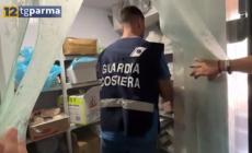 Indagine della Guardia costiera spezzina: controlli nelle pescherie e market, multe e sequestri. Coinvolta Parma - Video 