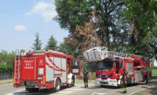 Rami pericolanti in via Ximenes, vigili del fuoco al lavoro
