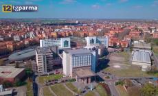 Fiazza: «Solleciti per ticket già pagati, sistema inefficiente» - Video 