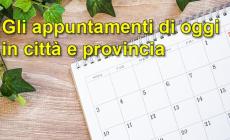 Gli appuntamenti di oggi,  domenica 20 luglio, a Parma e provincia