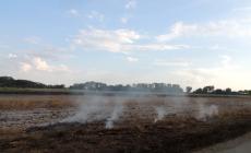 Pieveottoville, incendio in un campo incolto: vigili del fuoco in azione