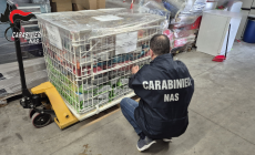 Mangime scaduto e giocattoli irregolari: multato un negozio della Bassa