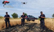 Dà fuoco alla potatura provocando un incendio, individuato e segnalato il presunto responsabile - Le indicazioni dei carabinieri forestali