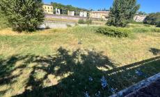 Rifiuti nel Lungoparma, "maleducazione inaccettabile"
