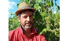  «Addio alle Poste: ho preferito il mio vigneto»: la svolta di Manuele Bossi