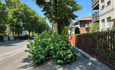 Via Sidoli, per passare sul marciapiede "serve Tarzan"