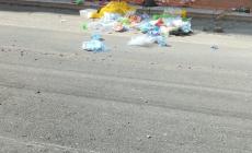Via D'Azeglio  tra i rifiuti, Team Vannacci: "Serve un codice di comportamento nei luoghi pubblici" - Le foto