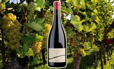 Cantina Andriano Tor di Lupo Lagrein Riserva 2022 - Naso voluttuoso di frutti rossi e neri, dal sorso vellutato 