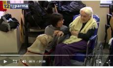 In Emilia Romagna cani e gatti ammessi nelle strutture per anziani - Video 