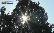 Dopo la tregua (già da oggi) torna a bussare il gran caldo - Video
