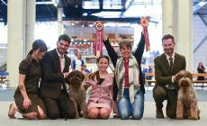 Dal World Dog Show 2025 di Helsinki, Parma torna vincente - Fotogallery