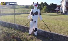 La val Stirone "animata" dagli spaventapasseri: una tradizione che rinasce - Il video 