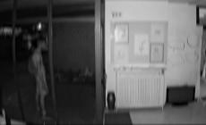Furti alla Polisportiva Gioco: il video dei ladri in azione - Video