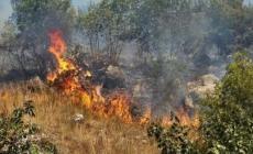 I volontari parmigiani a Boscotrecase: «Noi, sul Vesuvio nell'ultima battaglia con il grande rogo»