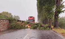 Pioggia e temperature pi&ugrave; moderate nel Parmense, resta l'allerta gialla. Allagamenti a Marina di Massa e Pietrasanta 