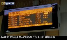 Quasi 5 ore di ritardo lungo la Pontremolese per raggiungere Borgotaro, l'incredibile pomeriggio diventato tarda notte sul treno per pendolari e turisti - Video