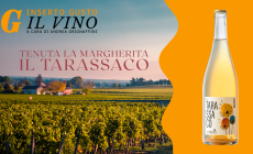 Tenuta La Margherita Il Tarassaco: metodo ancestrale per un vino d'antan dal fascino intenso