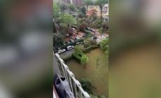 Nubifragio in Romagna: Rimini raffiche di vento fino 120 km orari, a Milano Marittima caduti 265 alberi - Video